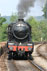 Solar Powered Railroad Crossing Signal